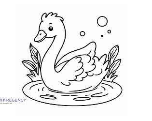 coloring book