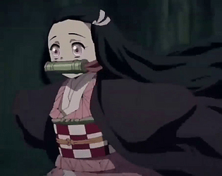 Nezuko Run