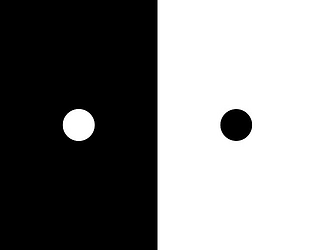 Perception