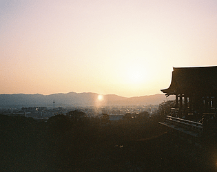Plan B: Japan (Day 7/8)