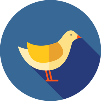Bird Pie 1.1
