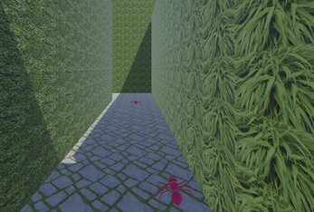 Hedge Maze