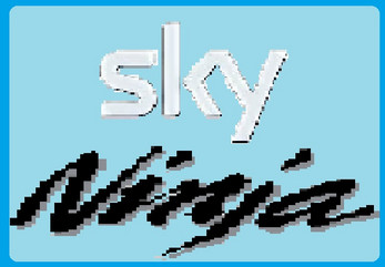 Sky Ninja