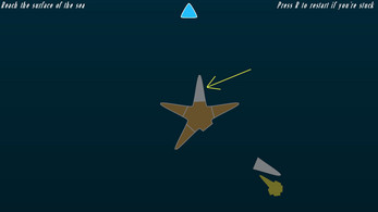 The Journey of the Starfish