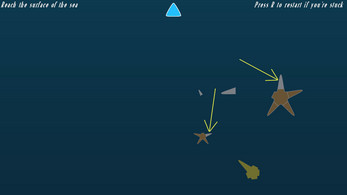 The Journey of the Starfish