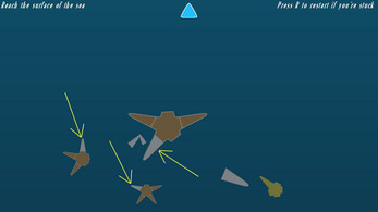 The Journey of the Starfish