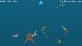 The Journey of the Starfish