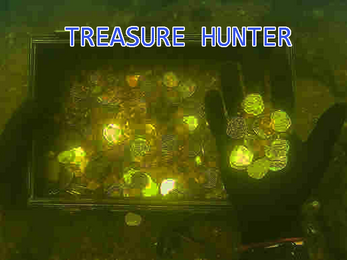 Treasure hunter