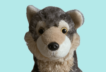 Wolfie Finds a Friend